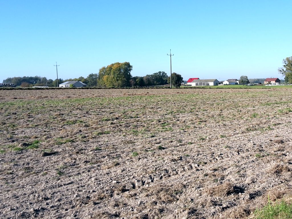 arimr, wielkopolska izba rolnicza, wir, terminarz, nabory, wnioski