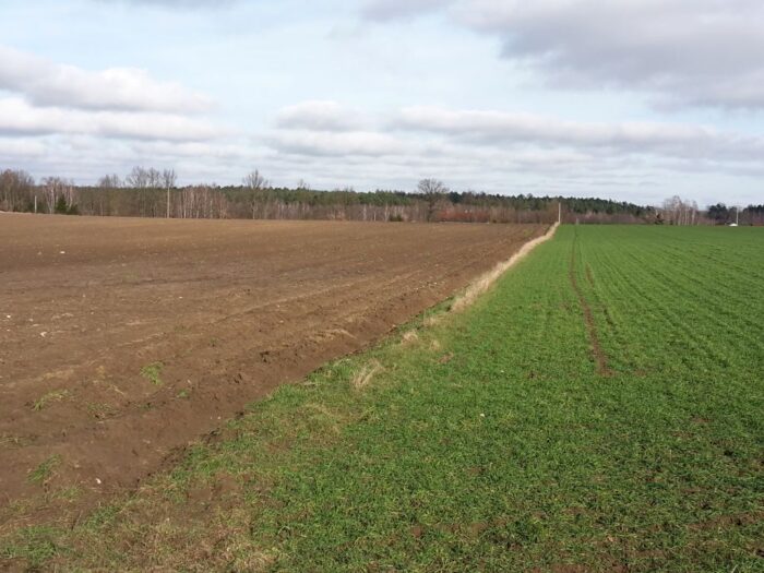 gus, nieruchomości rolne, sprzedaż, obrót