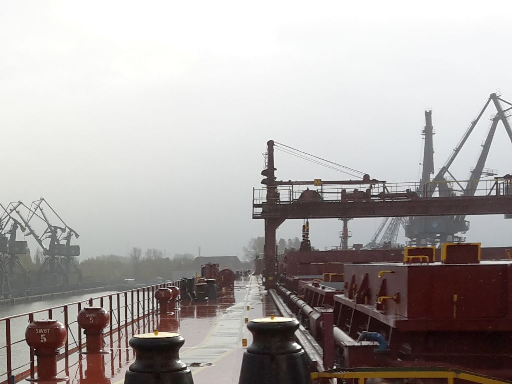 port gdynia, terminal zbożowy, zboże, eksport, przetarg, dzierżawa, umowa