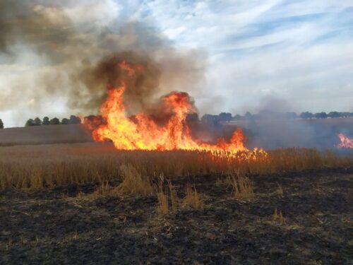 kw psp olsztyn, pożary, zboże, rżysko, maszyny, strażacy