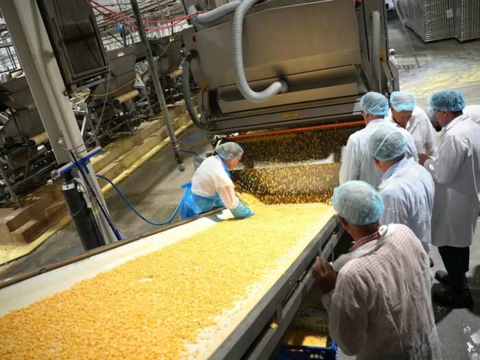 agroekoton, korzeniowski, skup, owoce, owoce jagodowe, przetwórstwo