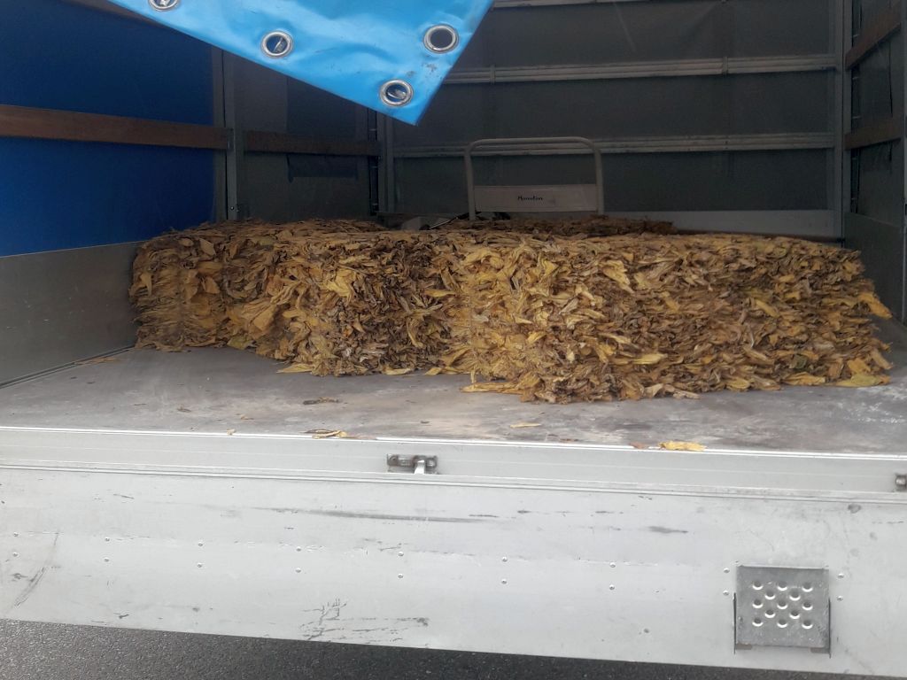 itd, witd łódź, kontrola, bus, tytoń, przewóz tytoniu, kas