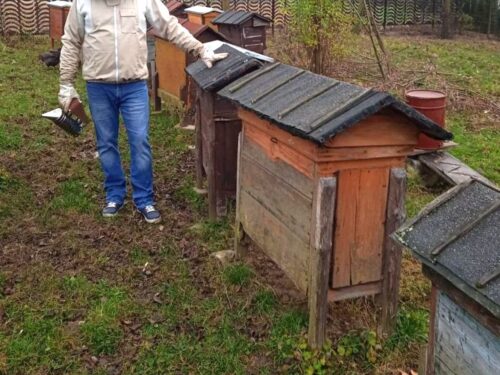 pszczoły, pszczele rodziny, przezimowanie, dofinansowanie, arimr