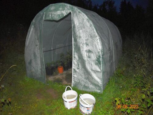 konopie, marihuana, uprawa, kpp września, kpp limanowa, zatrzymanie