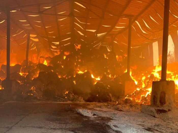 rosja, ukraina, atak, gospodarstwo rolne, stróż, śmierć