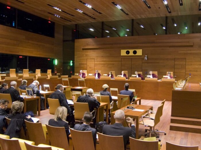 tsue, rozstrzygnięcie, weganizm, wegetarianizm, produkty mięsne, terminologia, nazewnictwo