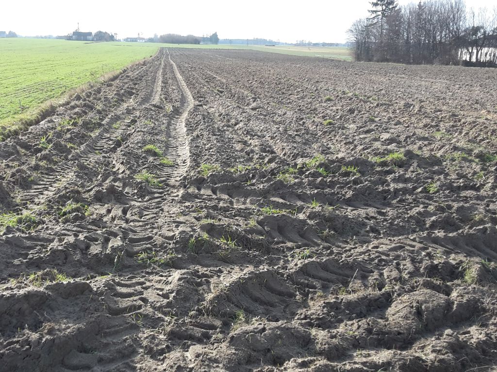 lir, lubelska izba rolnicza, grunty rolne, wyłączanie gruntów z produkcji, mrirw