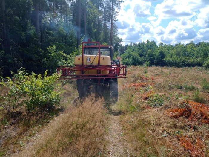 lasy państwowe, nadleśnictwo przasnysz, oprysk, bariera zapachowa, dziki, afrykański pomór świń, asf