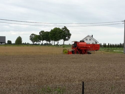 sawicki, psl, kołodziejczak, agrounia, rynek rolny, żniwa, zboże
