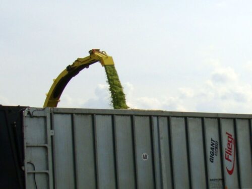 ukraina, rosja, wojna, okupacja, kradzież, zboże