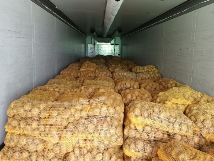 piorin, inspekcja, ziemniaki, ziemniaki towarowe, sadzeniaki, eksport, ue, agrofagi