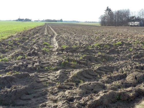 prezydent, duda, ustawa, gospodarowanie państwową ziemią, skarb państwa, czynsze dzierżawne, kowr