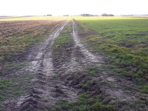 sejm, senat, ustawa, gospodarowanie nieruchomościami rolnymi, kowr, czynsz, dzierżawny