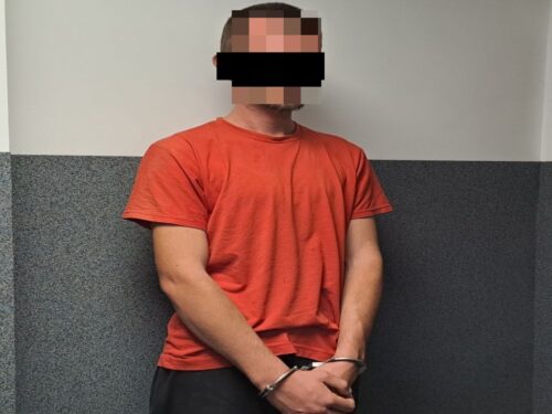 kpp opole lubelskie, kradzież, sprzęt rolniczy, zatrzymany, opryskiwacz, wozy konne, kultywator, pług