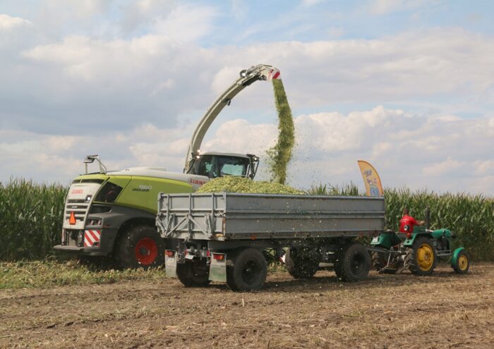 Krajowy Dzień Kukurydzy, Garzyn