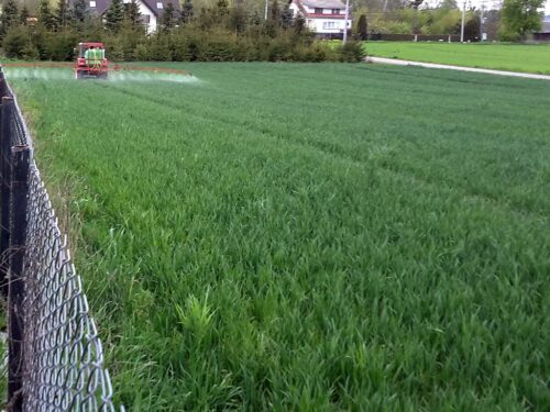 copa-cogeca, dyskusja, środki ochrony roślin, pestycydy, glifosat, zboże, ukraina