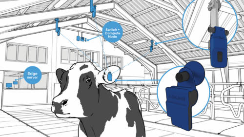 DeLaval Plus Behaviour Analysis, DeLaval, krowy mleczne, zarządzanie stadem, analiza zachowania krów, czujniki, AI