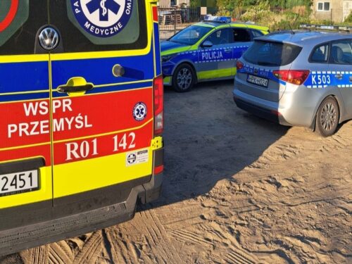 kpp krotoszyn, wypadek, tragedia, ciągnik, traktor, najechanie, dziecko, śmierć