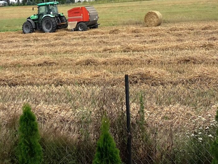 irg sgh, raport, koniunktura, koniunktura w rolnictwie, przychody, wydatki, optymizm