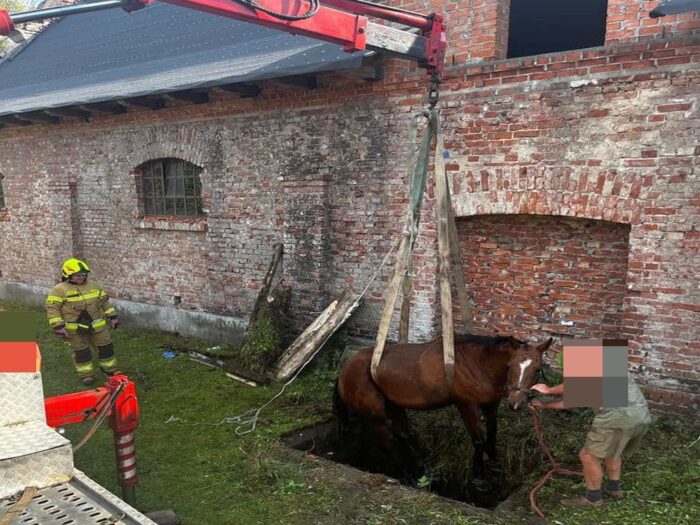 kp psp grójec, akcja, koń, uwięziony koń, dźwig, hds