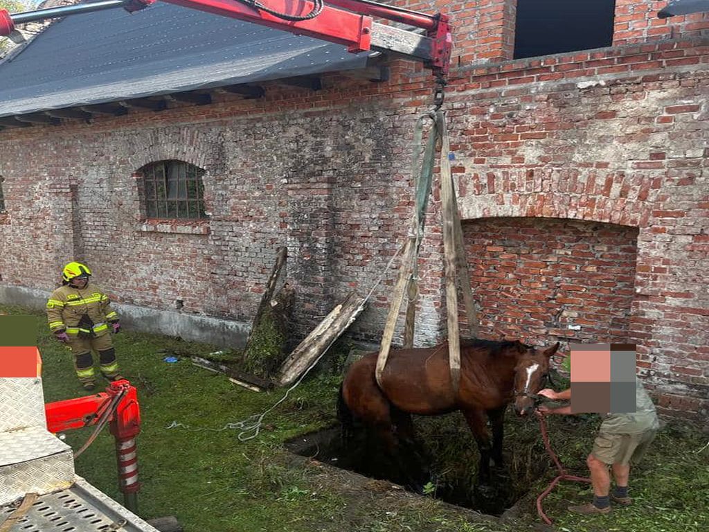 kp psp grójec, akcja, koń, uwięziony koń, dźwig, hds