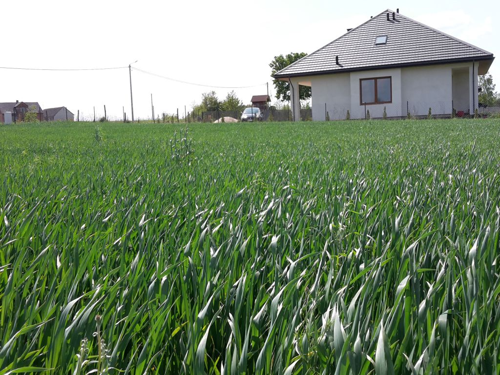 gus, demografia, migracja, wieś, obszary wiejskie, napływowi mieszkańcy, skargi