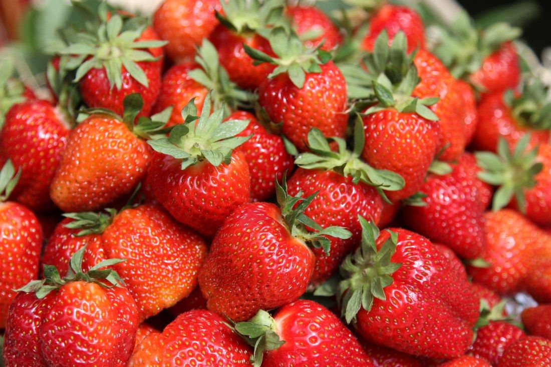 bronisze, rynek hurtowy, warzywa, owoce