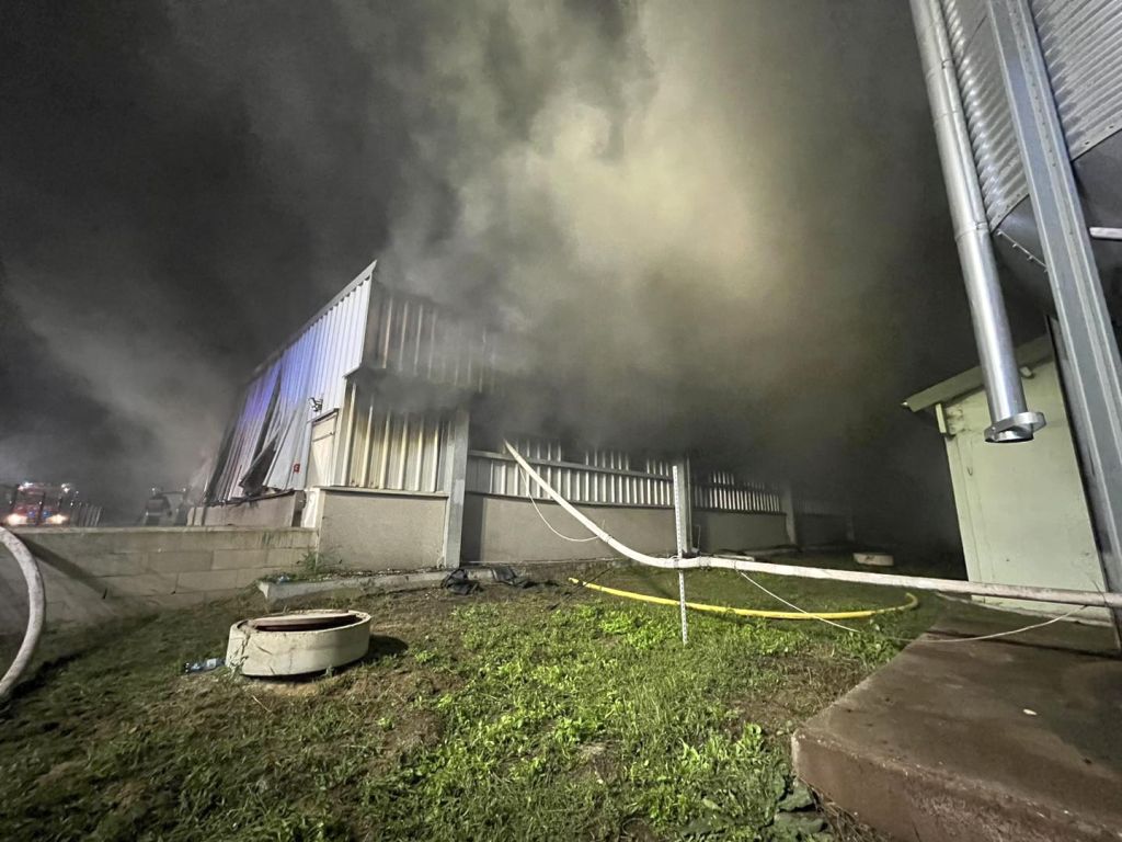 kp psp choszczno, pożar, hala, świnie, prosięta, śmierć mężczyzny, zwłoki