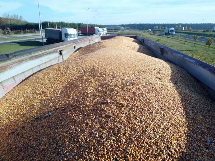 ue, ke, komisja europejska, zboże, ukraina, import, zakaz, tranzyt