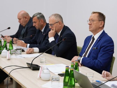 minister, telus, zboże, ukraina, import, tranzyt, kontrole, porty, niemcy, litwa