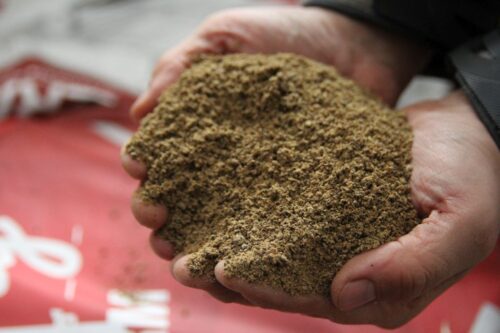 rozporządzenie, zakaz, import, zboże, ukraina, śruta, tranzyt