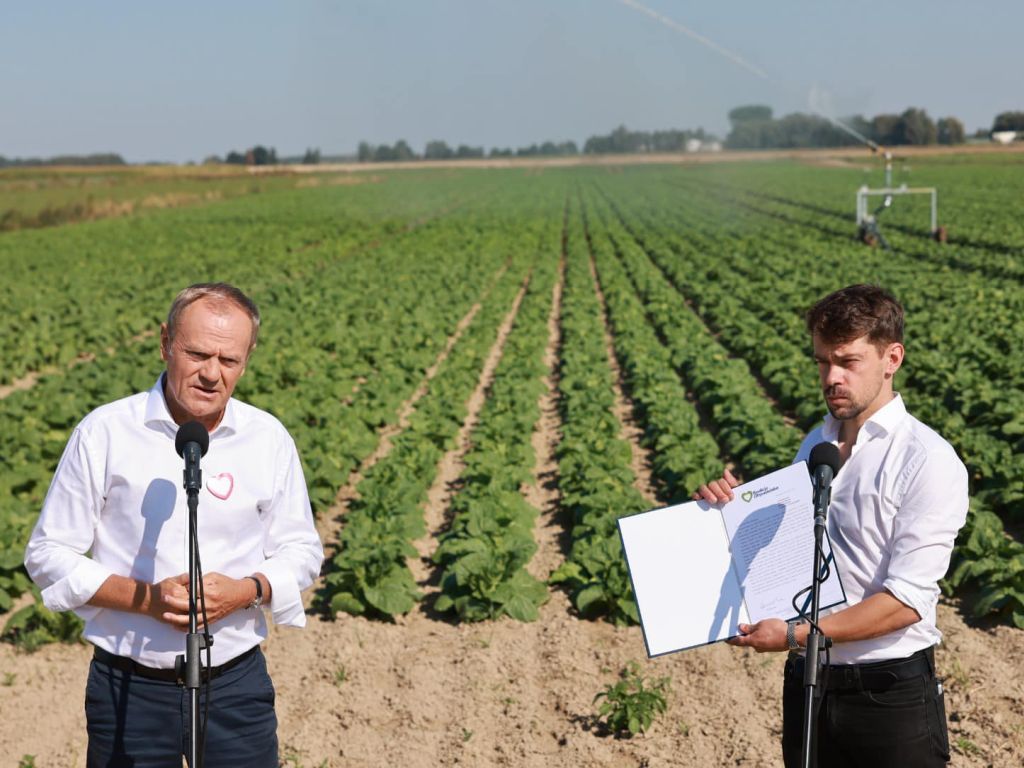 tusk, kołodziejczak, po, agrounia, wybory, bruksela, produkty rolne, zakaz, import, ukraina