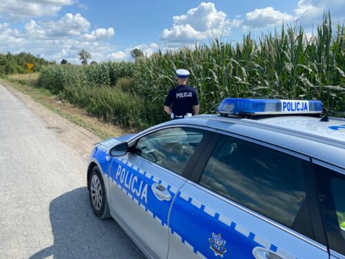 kpp świdnik, wypadek, pole, kukurydza, podkaszarka, prace polowe, ranny mężczyzna, rana cięta