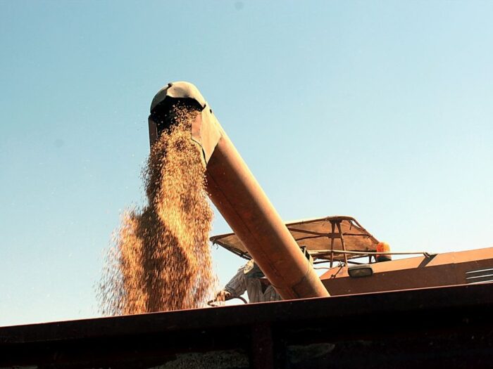 kowr, wroński, eksport, zboże, ziarno, porty, giełdy, ceny