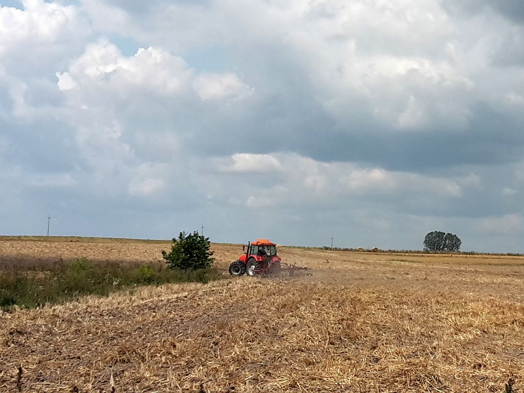 rząd, rada ministrów, strategia, rozwój rolnictwa, rozwój wsi, rybactwo, aktualizacja