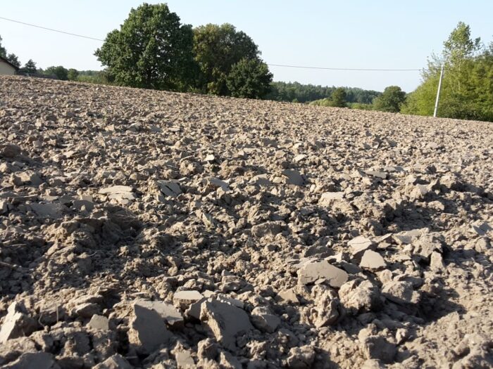 arimr, gus, średnie ceny, ceny ziemi, ceny, grunty orne, kredyty