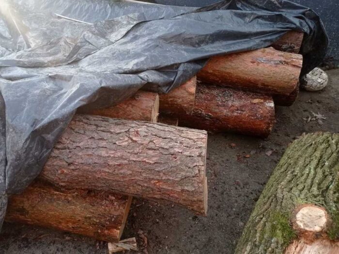 drewno, produkty drewniane, sprzedaż, obrót, kontrole, gioś, inspekcja, sankcje, wojna