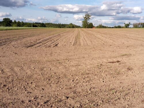 izby rolnicze, samorząd rolniczy, krir, szmulewicz, przewodnicząca ke, ke, von der leyen, normy gaec, gaec