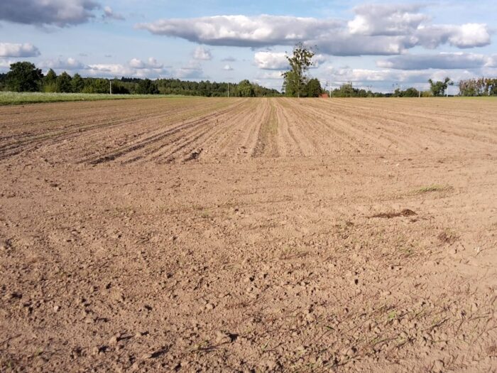izby rolnicze, samorząd rolniczy, krir, szmulewicz, przewodnicząca ke, ke, von der leyen, normy gaec, gaec