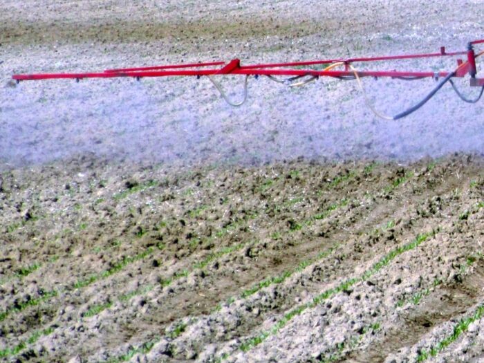 krir, izby rolnicze, samorząd rolniczy, wystąpienie, substancja czynna, glifosat, środki ochrony roślin, ke