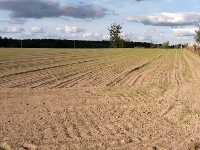 krir, izby rolnicze, samorząd rolniczy, mrirw, resort rolnictwa, ubezpieczenia, uprawy, zwierzęta, dopłaty