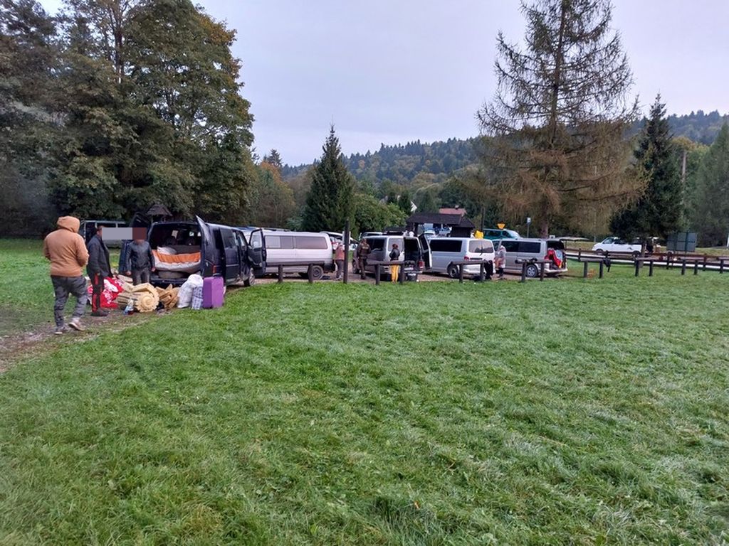 grzyby, zbieranie, podkarpacie, lasy, rumuni, obcokrajowcy, policja