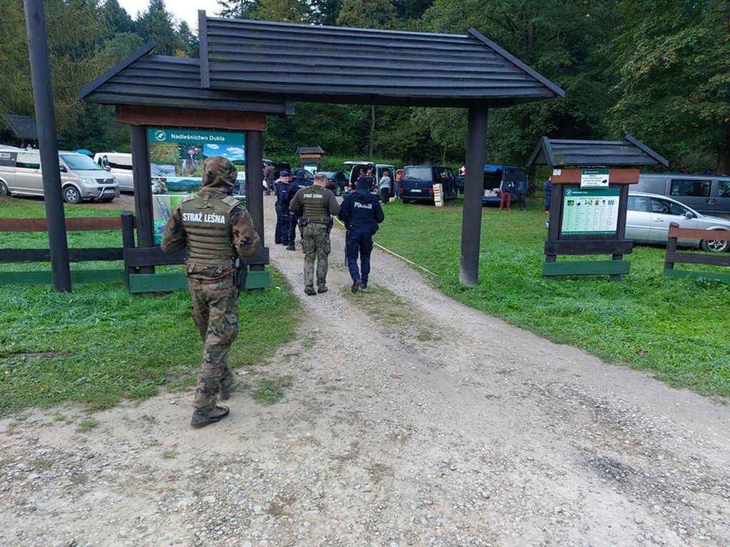 grzyby, zbieranie, podkarpacie, lasy, rumuni, obcokrajowcy, policja