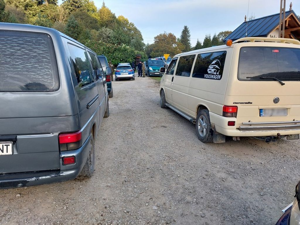 grzyby, zbieranie, podkarpacie, lasy, rumuni, obcokrajowcy, policja
