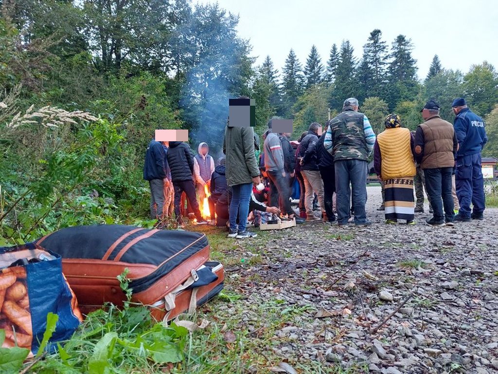 grzyby, zbieranie, podkarpacie, lasy, rumuni, obcokrajowcy, policja