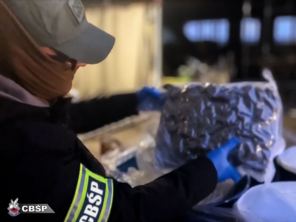 cbśp, kontrola, zatrzymanie, zarzuty, areszt, marihuana, przemyt, koncentrat pomidorowy