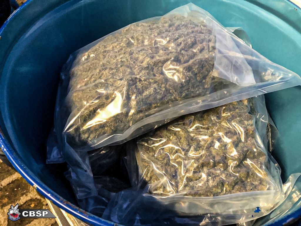 cbśp, kontrola, zatrzymanie, zarzuty, areszt, marihuana, przemyt, koncentrat pomidorowy