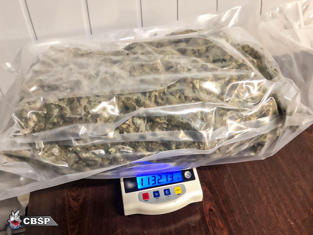 cbśp, kontrola, zatrzymanie, zarzuty, areszt, marihuana, przemyt, koncentrat pomidorowy