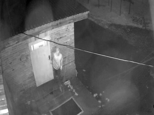 kpp gostyń, kradzież, gospodarstwo, chlewnia, pracownik, warchlaki, prosięta, zarzuty, paserstwo