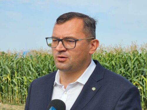 psl, krajewski, sawicki, minister, telus, rolnicza dwunastka, pis